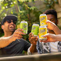 Hiver mixed can pack 6for10